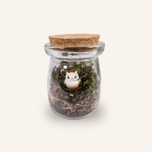 Capsule — Mini-Terrarium Chouette