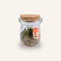 Packshot studio de la capsule Mini-Terrarium avec figurine Écureuil miniature.green, bocal en verre sur fond gris