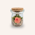 Packshot studio de la capsule Mini-Terrarium avec figurine Escargot miniature.green, bocal en verre sur fond gris