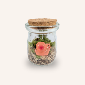 Capsule — Mini-Terrarium Escargot