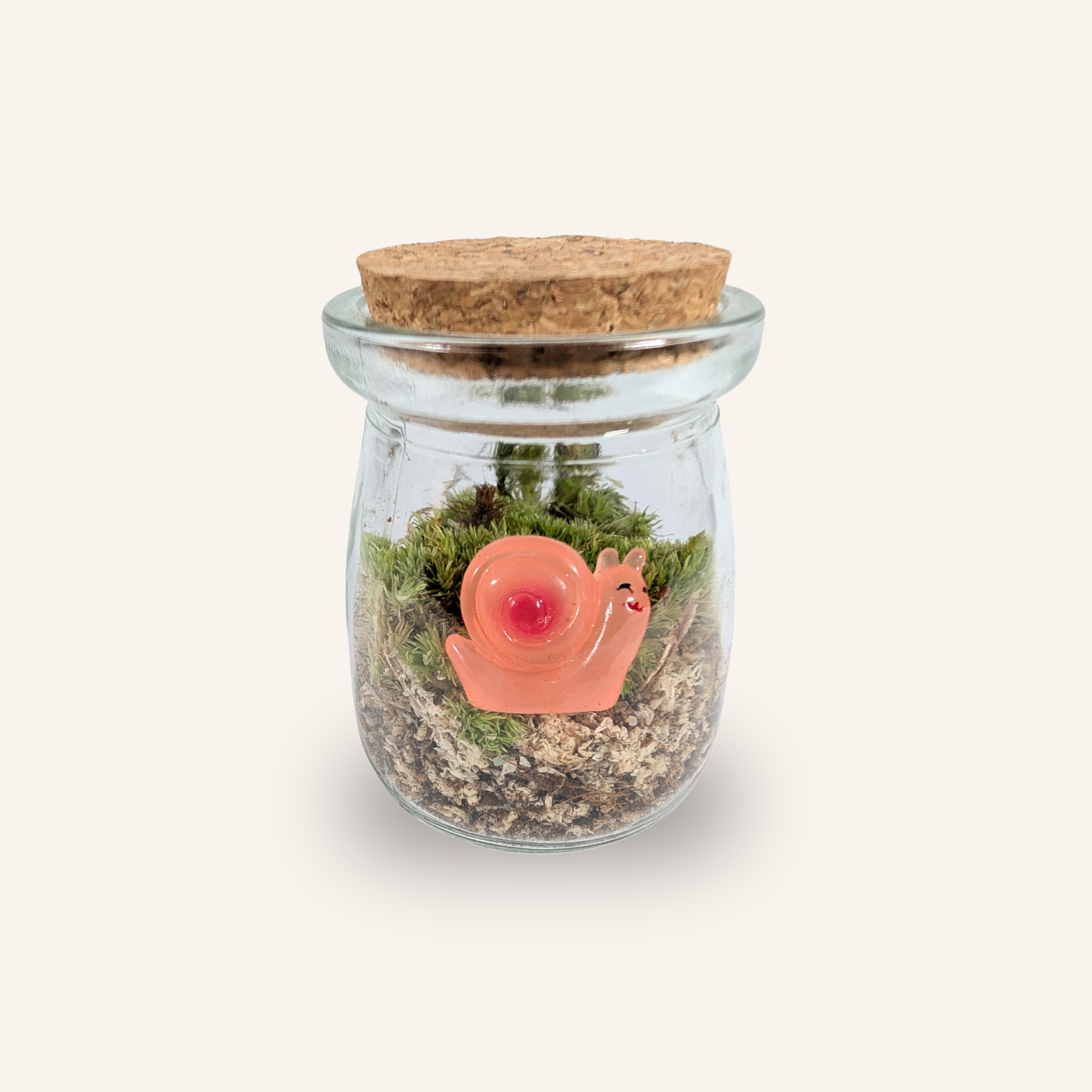 Packshot studio de la capsule Mini-Terrarium avec figurine Escargot miniature.green, bocal en verre sur fond gris