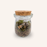 Packshot studio de la capsule Mini-Terrarium avec figurine Fiole miniature.green, bocal en verre sur fond gris