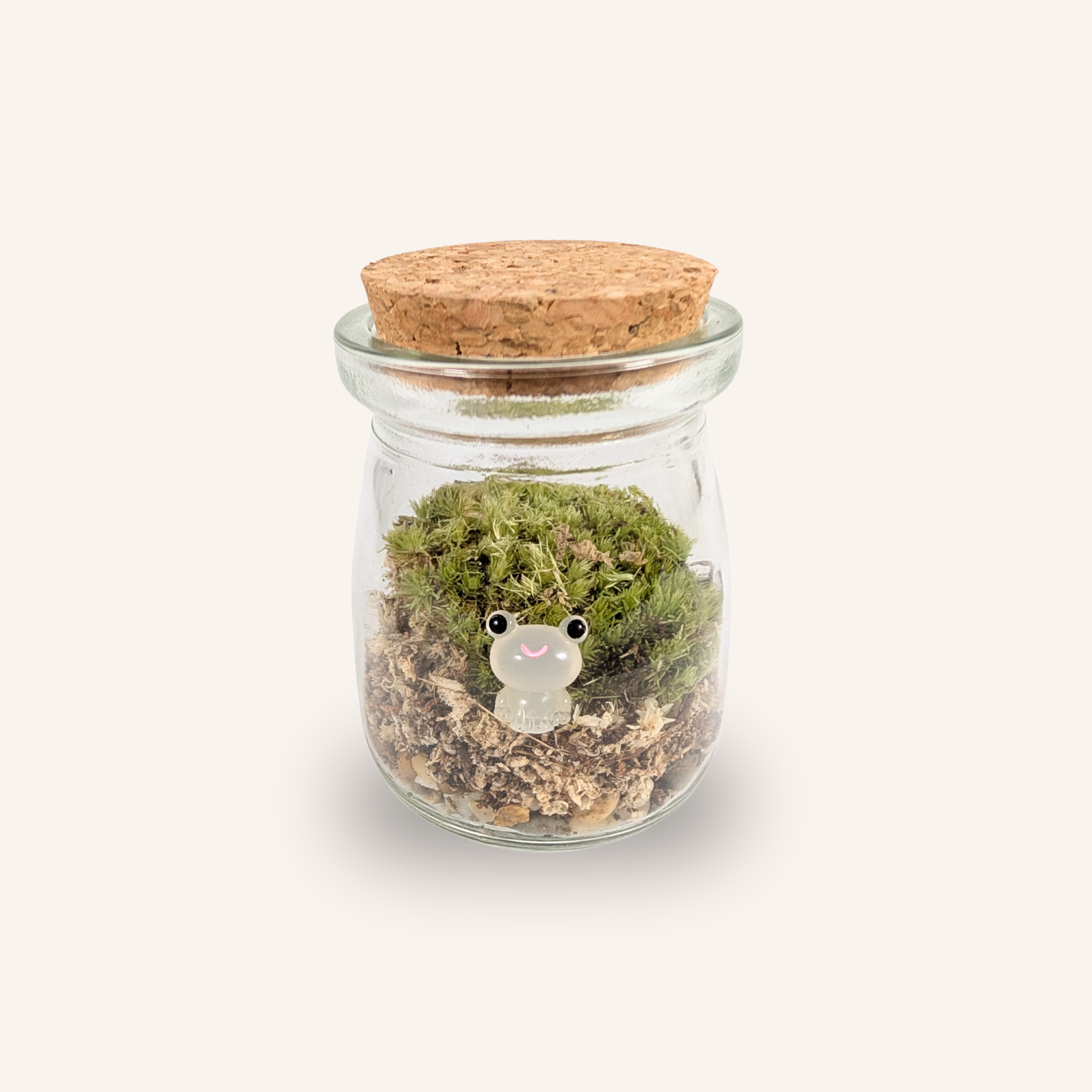 Packshot studio de la capsule Mini-Terrarium avec figurine Grenouille miniature.green, bocal en verre sur fond gris