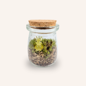 Capsule — Mini-Terrarium Lapin