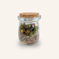 Packshot studio de la capsule Mini-Terrarium avec figurine Prisme miniature.green, bocal en verre sur fond gris