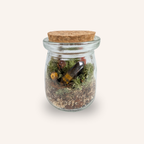Packshot studio de la capsule Mini-Terrarium avec figurine Prisme miniature.green, bocal en verre sur fond gris