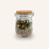 Packshot studio de la capsule Mini-Terrarium avec figurine Prisme miniature.green, bocal en verre sur fond gris