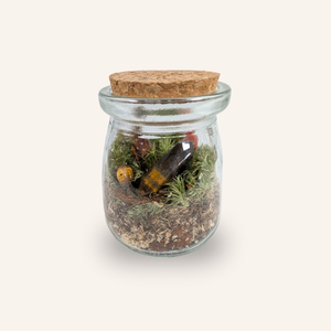 Capsule — Mini-Terrarium Prisme