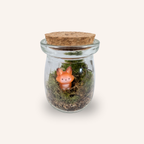 Packshot studio de la capsule Mini-Terrarium avec figurine Renard miniature.green, bocal en verre sur fond gris