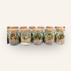 Mise en scène de plusieurs capsules Mini-Terrarium avec figurines assorties, packshot sur fond gris