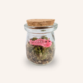 Packshot studio de la capsule Mini-Terrarium avec figurine Chenille miniature.green, bocal en verre sur fond gris